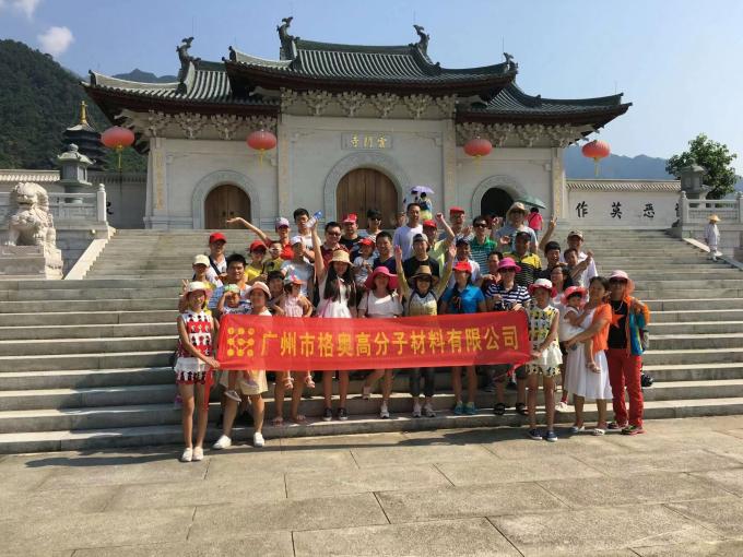 Wholesale PSAF Free Repellente idrografico impermeabile per tessuti Pelle Protezione mobili cura mobili Spray impermeabile 16