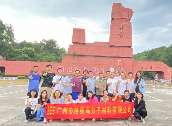 Wholesale PSAF Free Repellente idrografico impermeabile per tessuti Pelle Protezione mobili cura mobili Spray impermeabile 18