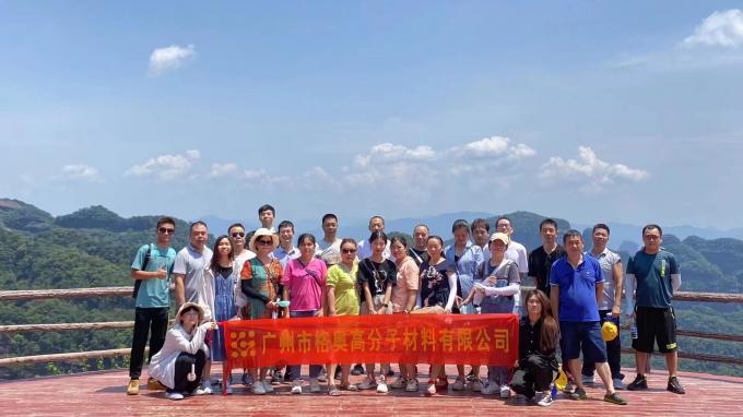 Wholesale PSAF Free Repellente idrografico impermeabile per tessuti Pelle Protezione mobili cura mobili Spray impermeabile 19