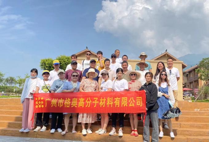 Wholesale PSAF Free Repellente idrografico impermeabile per tessuti Pelle Protezione mobili cura mobili Spray impermeabile 21